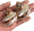 3 Pc Large Turbo with Pearl Banded Shells,Hermit Crab Shell &Turbo Shells Hermit Crab Supplies for Decor 2-2.5Inch...