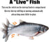 Electric Moving Fish Interactive Plush Toys...
