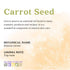 Aura Cacia Essential Oil, Replenishing Carrot Seed, 0.5 fluid ounce...