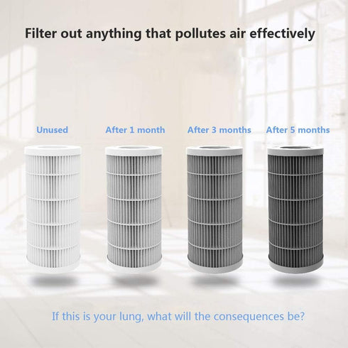 True HEPA Filter - Replacement Air Purifier Filter for QUEENTY F001 Air Purifier(Filter)...