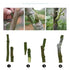 SUCA Grafting Tape Grafting Tool Buddy Tape Grafting Plant Grafting Tape,2 Color 4PCSwith Various Elasticity (tape4pcs)...