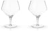 Viski Raye Angled Stemmed Gin and Tonic Glasses Set of 2 - Premium Crystal Clear Cocktail Gin Glasses for Gin Lovers Gift Set - 14oz...