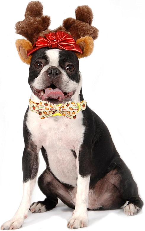 Dog Collar, Thanksgiving Dog Collar Turkey Pet Collar Bow Holiday Dog Collar Bows Girl Boy Bow Dog Collar Puppy Collar Adjustable Dog Collar for X...