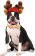 Dog Collar, Thanksgiving Dog Collar Turkey Pet Collar Bow Holiday Dog Collar Bows Girl Boy Bow Dog Collar Puppy Collar Adjustable Dog Collar for X...