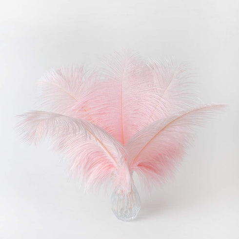 12pcs Natural Light Pink Ostrich Feathers 12-14inch (30-35cm) for Wedding Party Centerpieces?Flower Arrangement and Home Decoration....
