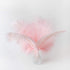 12pcs Natural Light Pink Ostrich Feathers 12-14inch (30-35cm) for Wedding Party Centerpieces?Flower Arrangement and Home Decoration....