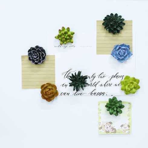 Plant Pattern 3D Resin Succulent Fridge Refrigerator Magnets, White Board Magnets for Home Refrigerator Office Display Board, Set of 8...