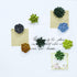 Plant Pattern 3D Resin Succulent Fridge Refrigerator Magnets, White Board Magnets for Home Refrigerator Office Display Board, Set of 8...