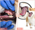 Dog Chew Toy,Durable Rubber Slipper Toy for Puppy,Dog Tough Toys for Pet Training and Cleaning Teeth,Interactive Puppy Toys Aggressive Chewers Sma...