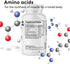 Youth & Tonic PM Bedtime Trim Amino Acids Supplement Pills for Men and Women | 30 Capsules to Support Metabolism and Defined Lean Muscles During N...