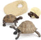 4PCS Elephant Tortoise Animal Life Cycle,Insect Growth Cycle Model,Hand Painting Animal Figures,Educational Toy,Cake Toppers Christmas Birthday Gi...