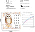 Owl Baby Monthly Milestone Blanket, 48x40in Soft Flannel, Flower Watercolor Backgrounds, Newborn Mom Gifts, Baby Shower Age Growth Tracker with Bo...
