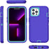 FEIYAR HOME for iPhone 13 Pro Max Heavy Duty Case with 2 Tempered Glass Protectors and Camera Lens Protector, Belt Clip Holster Kickstand - Milita...