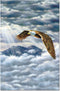 Tree-Free Greetings ECOnotes Notecard Set, 4 x 6 Inches, 12-Count Notecards with Envelopes, Eagle Spirit (66685)...