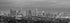 Los Angeles Skyline 2019 PHOTO PRINT UNFRAMED Dusk Black and White BW LA 11.75 inches x 36 inches Griffith Observatory Photographic Panorama Poste...