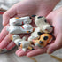 Pack of 6 Lovely Lucky Cat Porcelain Knife Rests Chopstick Rest set Ceramic Tableware Rest Set Ornament (Lucky Cat Set+Spoon)...