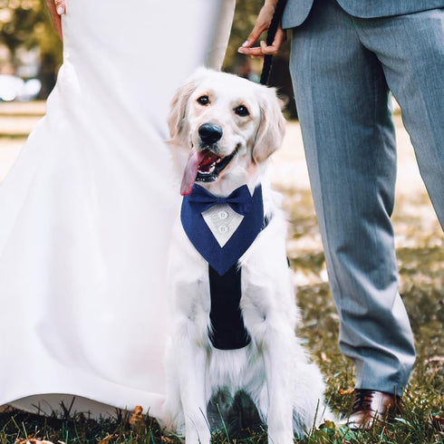 Dog Wedding Bandana, Formal Dog Tuxedo Adjustable Pet Collar with Bow, Small, Medium and Large Dog Wedding Clothing, Birthday Gifts for Dogs (Medi...