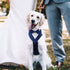 Dog Wedding Bandana, Formal Dog Tuxedo Adjustable Pet Collar with Bow, Small, Medium and Large Dog Wedding Clothing, Birthday Gifts for Dogs (Medi...
