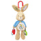 KIDS PREFERRED Beatrix Potter Peter Rabbit Activity Toy...