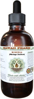 Hawaii Pharm Moringa Alcohol-Free Liquid Extract, Moringa (Moringa Oleifera) Leaf Glycerite Natural Herbal Supplement, USA 2 oz...