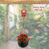 50 PCS Q-Hanger Screw Hooks with Safety Buckle Design Christmas Lights Hanger Hooks Outdoor Wire Fairy Lights and String Lights, Easy to Release, ...