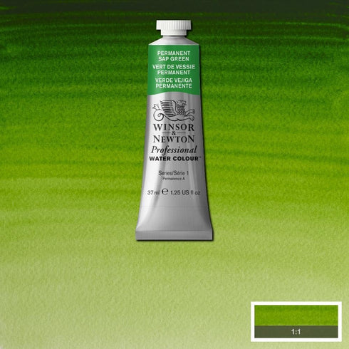 Winsor & Newton Professional Water Colour Paint, 1.25-oz Tube, Permanent Sap Green...