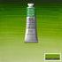 Winsor & Newton Professional Water Colour Paint, 1.25-oz Tube, Permanent Sap Green...