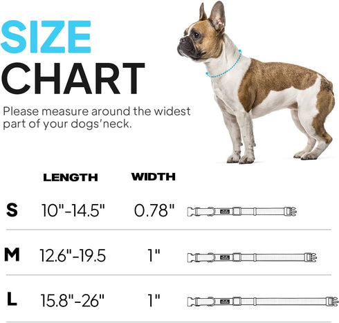 TwoEar Heavy Duty Dog Collar Reflective, Adjustable Nylon Pet Collar with Durable Buckle for Medium Breeds Dog?M, Blue?...