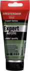 Amsterdam Talence Acrylic Paint T1911-668-0 Acrylic Color Expert Chromium Oxide Green 2.5 fl oz (75 ml)...