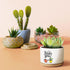 Funny Succulents Plant Pots, Small Ceramic Cactus Planter Pot for Indoor Outdoor, Cute White Garden Succulent Pots with Drainage Hole, Fun Pots fo...