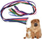 6 Packs Slip Lead Dog Leash, Durable and Comfortable for Cats, Dogs and Other Small Animals...
