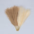 CHUKCHI Faux Pampas Grass - 17.7" 6 Bunches (3 Beige and 3 Taupe Brown) Fluffy Artificial Dried Pampas Grass, Used for Flower Arrangements Home De...