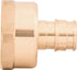 SharkBite 1/2 Inch x 3/4 Inch Expansion FNPT Adapter Fitting for PEX-A Pipe, Brass Plumbing Fittings, Female NPT Adapter for PEX-A Tubing, UAB068L...