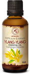 Ylang-Ylang Essential Oil 1.7 Fl Oz - Cananga Odorata - Madagaskar - 100% Pure & Natural Ylang Ylang Oil Best for Aromatherapy - Good Sleep - Beau...