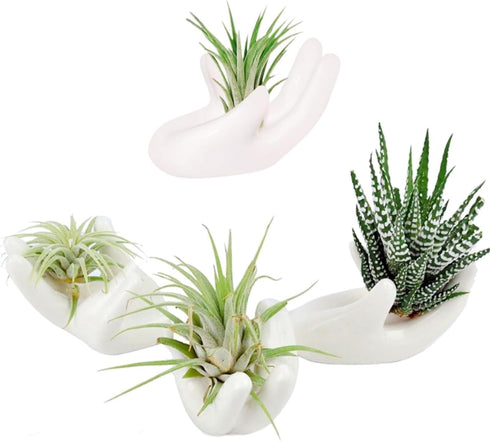 4 Pack Air Plant Holders Unique Ceramic Mini Airplants Stand Tillandsia Succulent Display Container Pot Cute Home Decor for Desk Table Shelf Windo...