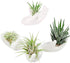4 Pack Air Plant Holders Unique Ceramic Mini Airplants Stand Tillandsia Succulent Display Container Pot Cute Home Decor for Desk Table Shelf Windo...