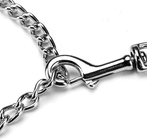 Chain Leash Metal Dog Leash Chrome Plated with Soft Padded Handle for Medium Dogs.(M, Blue Handle)...