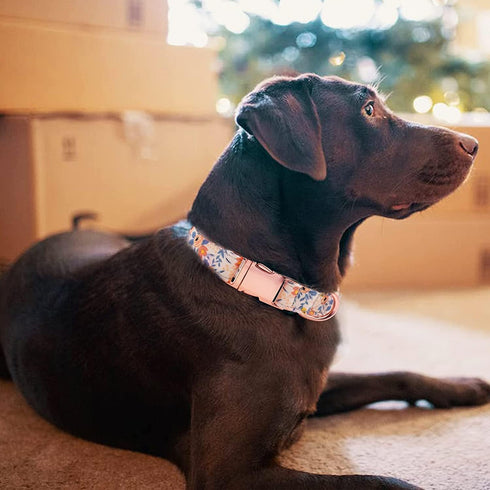 COOLFIY Dog Collar, Cute Flower Floral Patterns Pet Collars for Girl Female Boy Small Medium Large Dogs, Strong Rose Gold Metal Buckle, Soft Cotto...