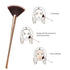 Fan Makeup Brush For Highlighter, Blush, Flutty&Powder Cosmetic Tool w/Long Handle& Anti-Champagne Gold Brush...