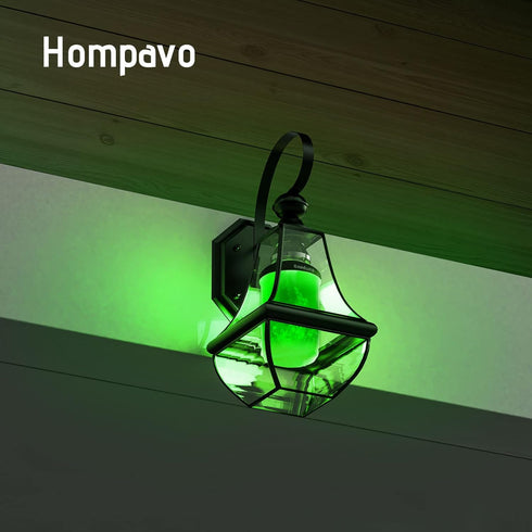 Hompavo ?Upgraded? LED Flame Light Bulbs, Green Flickering Light Bulbs with Upside Down Effect, E26 Flame Bulb for Home Halloween St. Patrick's Da...