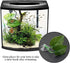 Reusable Plastic Artificial Simulation Plant Leaf Betta Hammock Fish Rest ?Aquarium Decorations, Bed Aquariums Supply Leaves Fish Tank Landscaping...