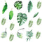 Leaf Wall Decals, H2MTOOL 64 PCS Removable Tropical Plants Tree Leaves Stickers for Kids Nursery Room Decor...