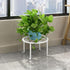 1 Pack Metal potted plant stand, rust-proof iron flower pot stand, heavy duty pot stand for indoor patio(White)...