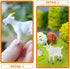 NUOBESTY Mini Goat Figurines 6pcs Plastic Realistic White Goat Animals Simulated Small Lambs Action Models Tiny Farm Sheep Figures Learning Educat...
