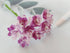 Gypsophila Flower Mulberry Paper Artificial Flowers Wedding Party Decoration DIY Home Decor Craft Cards Supplies Scrapbooking Embellishment (Purpl...