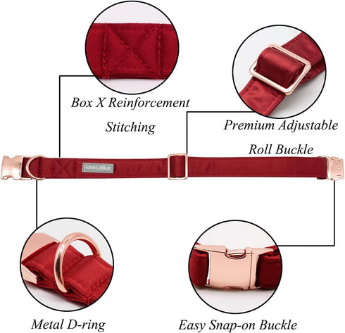 Lionet Paws Bowtie Dog Collar - Comfortable Silk Dog Collar with Detachable Bow Tie for Puppy and Cat, Neck 8-12 Inches...