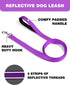 6ft Dog Leash for Small Medium Large Dogs | One-Sided Reflective Nylon | Padded Handle | 3/4 inch Wide | Purple...