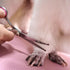 Dog Grooming Scissors with Safety Round Tips Stainless Steel Professional Dog Grooming Kit - Thinning, Curved Scissors and Comb for Dog Cat Pet...