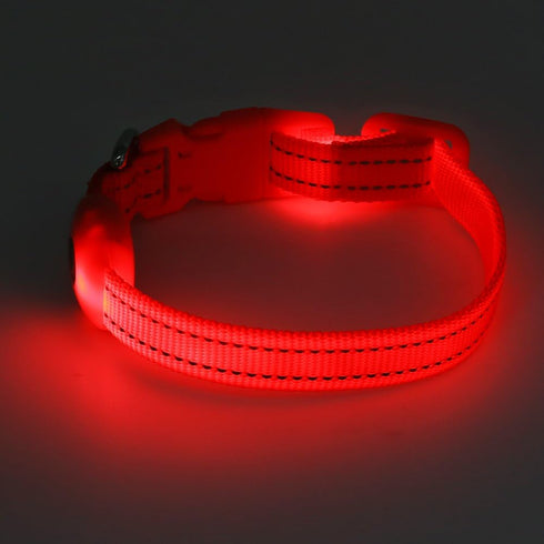 Light up Dog Collar for Small Dog,Vizpet XS Adjustable Size Nylon Collar USB Rechargeable Bright Safety Pet Collar for Cats Dogs (Red?XS)...