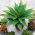 JUSTOYOU Large 12.5" Artificial Succulents Aloe Plants Real Touch Fake Flowers Unpotted for Home Wedding Festival Arrangement (1, Green)...